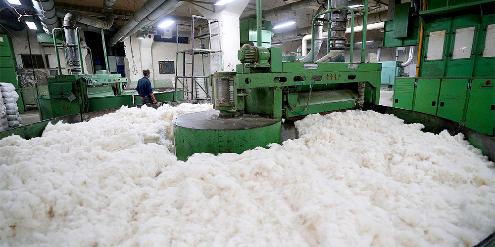 Vyroba bavlny